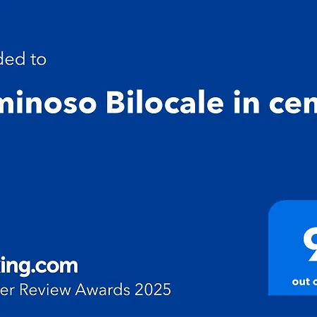 Luminoso Bilocale In Centro
