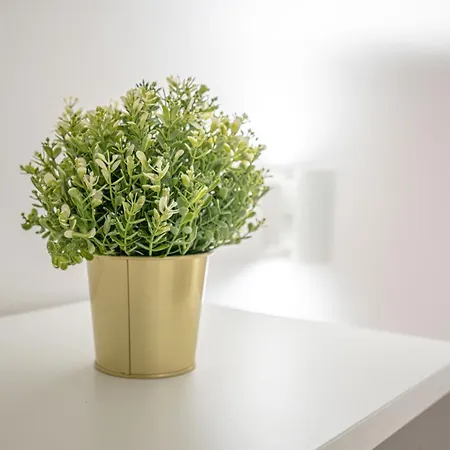 Apartment Metro Yellow