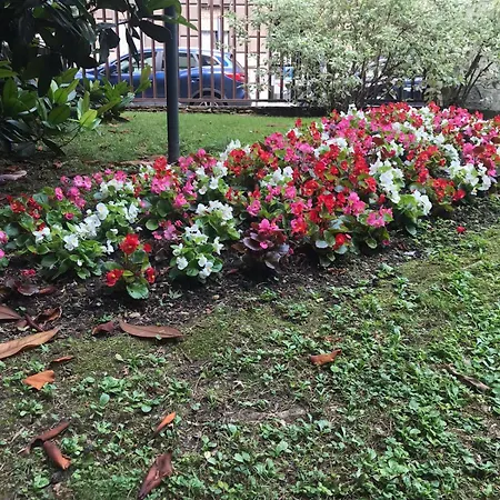 Apartman Bwr - Near Mico, Alberti Milánó