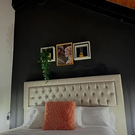 Hosting Dreams Attics - Duomo *