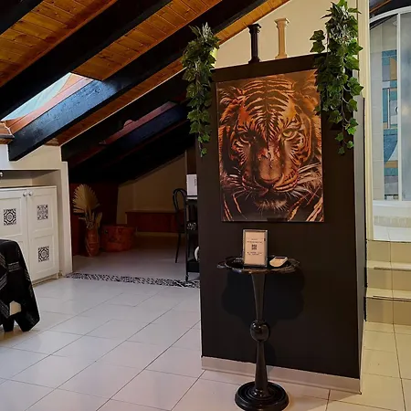 Hosting Dreams Attics - Duomo * Milano