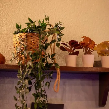 Loveloft Private Jacuzzi & Relax Duomo - Ac Wifi شقة