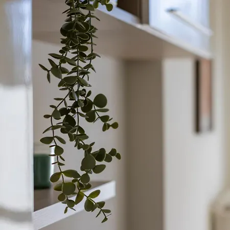 Parkview House - Carozzi Mediolan