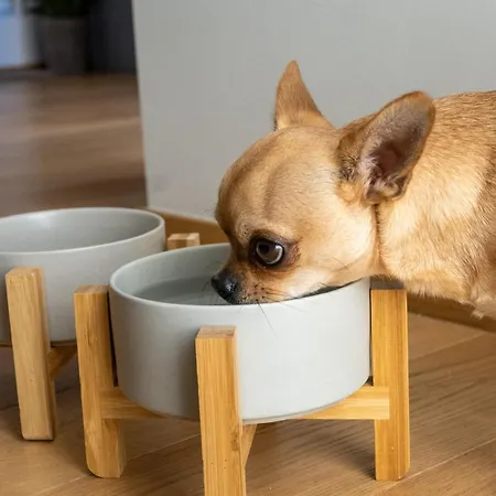 Apartmán Milanese Lodge/luxury House In The Heart Of *