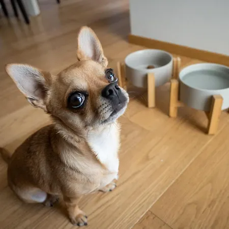 Milanese Lodge/luxury House In The Heart Of