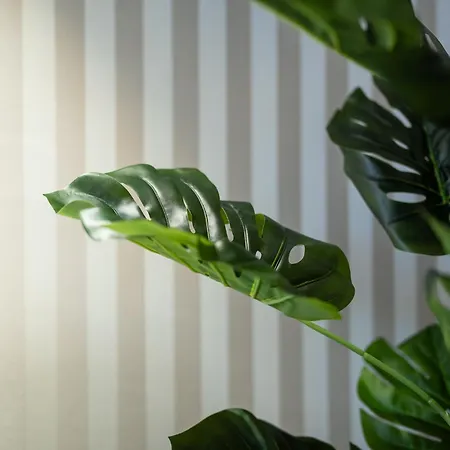 Deluxe 94 - Porta Romana - Duomo By Innstay *