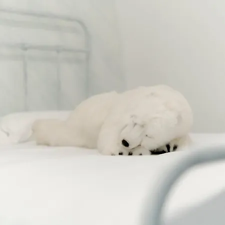 The Igloo فيلة *