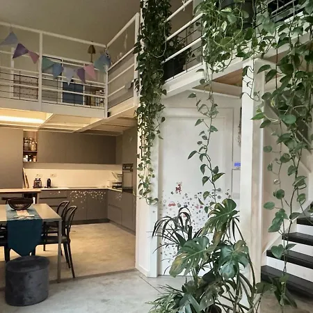 Loft Milanese Con Terrazza Apartment *