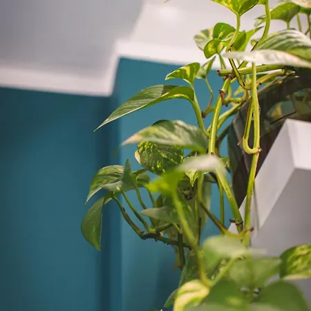 Wownavigli Apartment-sofa Bed Metro M4 Tram 2 *