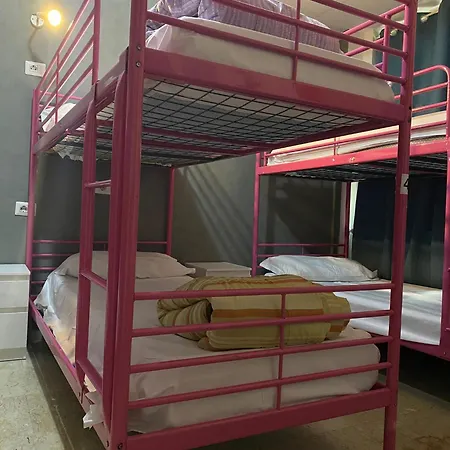 Lion University&youth 2 *