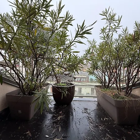 Sunny Design Penthouse 2br 2ba 8 Min To Duomo * Milano