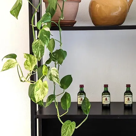 Martesana ميلان