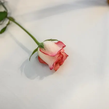 Prestige Brera, Duomo - Grand Living 아파트 밀라노