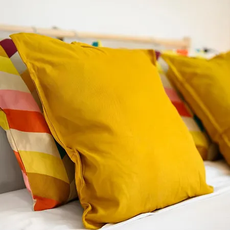 Insubria 8-6 - Monolocale Cool