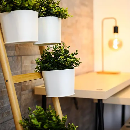Insubria 8-6 - Monolocale Cool Apartment