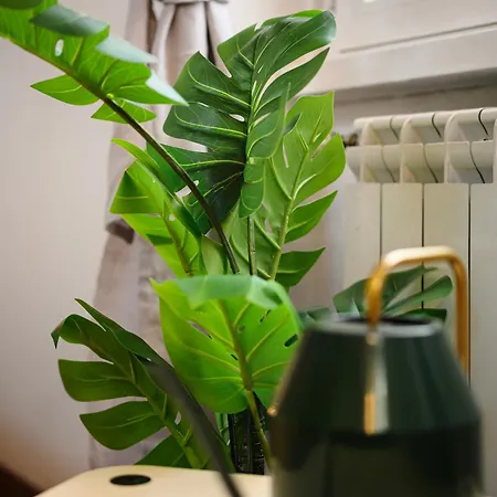 Insubria 8-6 - Monolocale Cool ミラノ