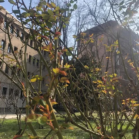 Apartment Missori Rose Garden View *