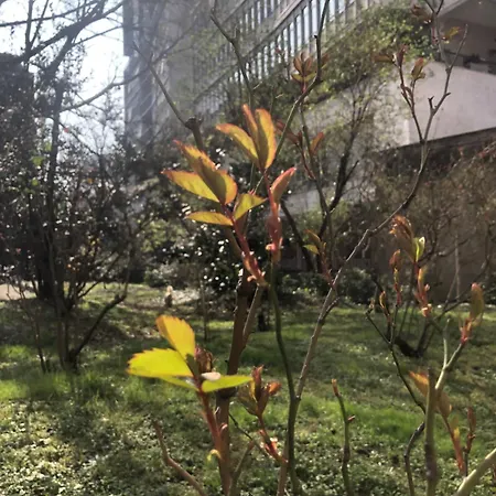 Apartmán Missori Rose Garden View