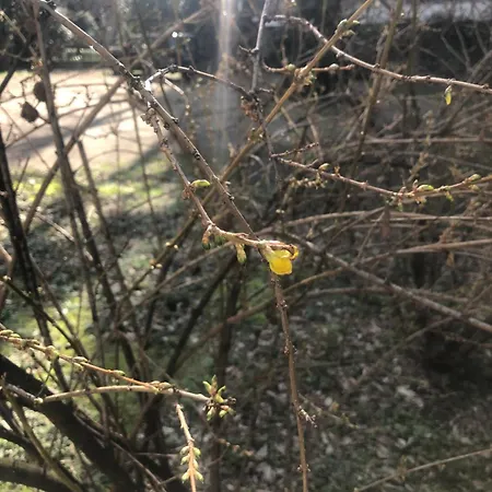 Missori Rose Garden View Apartment Milan