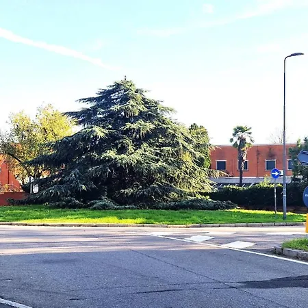 Apartment Fantastic Flat Famagosta Area, Forum, Parking, Netflix *