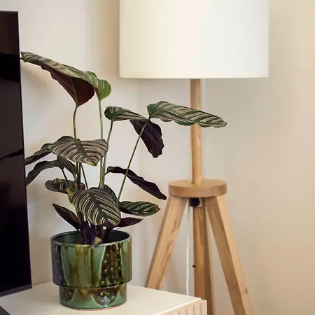 Apartment Oasi Di Serenita - Bilocale Silenzioso Con Affaccio Sulla Natura