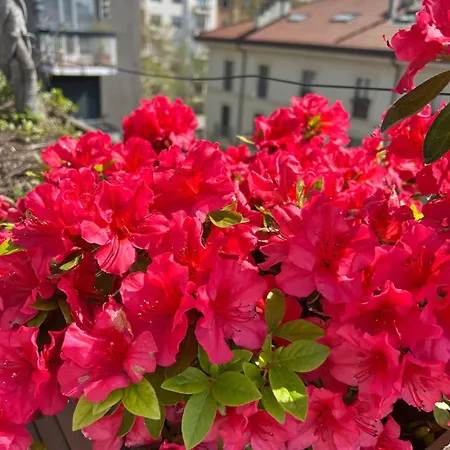 All'arco Exclusive With Terrace *