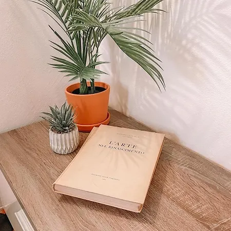 Lägenhet Monolocale Mac Mahon *