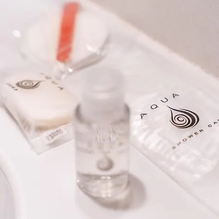 Garibaldi , Intrho * Milán