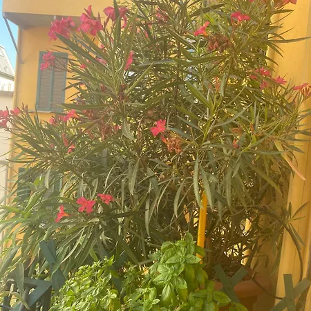 Adalbert House On 2 Levels