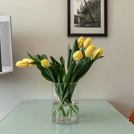 Apartman Milaninflat