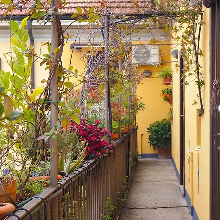 Charming In The Heart Of China Town * Milan