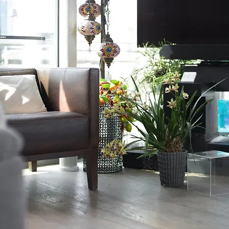 아파트 Attico Domusmi Lunigiana Sunset Terrace *