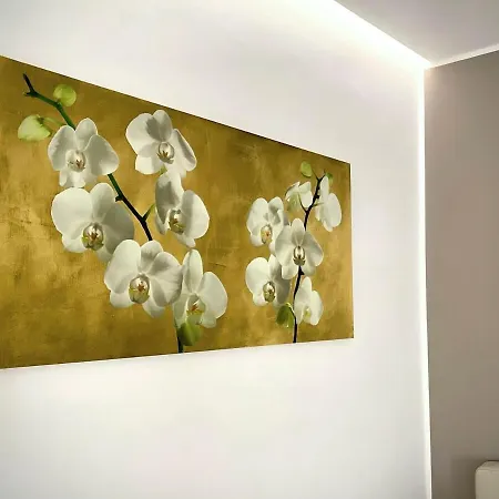 Apartament Sottocorno White, Historic Center, *