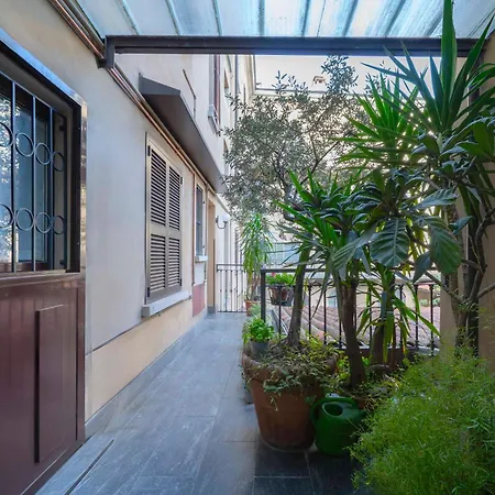 Solferino Comfort Battaglia