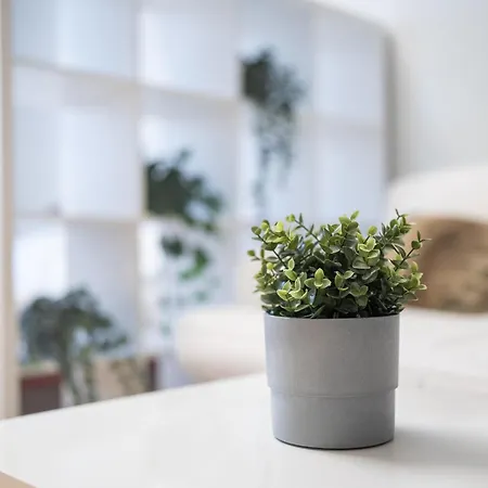 Bramante Luxury By Innstay Milano