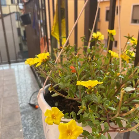 Luce Place Authentic Getaway شقة *