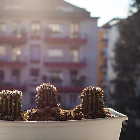 Appartamento Iconic Luxury Penthouse In The Heart Of *