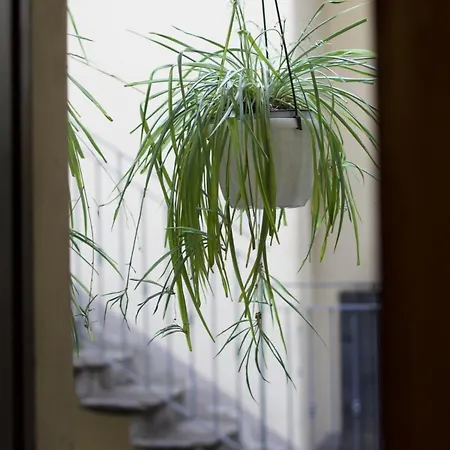 Cozy Apartment- Navigli *