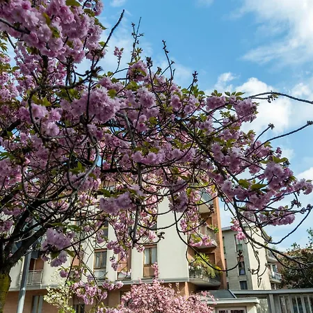 Apartament Al 7 Cielo Certosa District