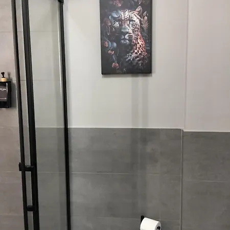 Nuovo Loft Con Terrazzo M2 Ieo Humanitas Bocconi Navigli Apartment *