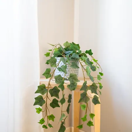 Carlotta - Repubblica Center By Innstay