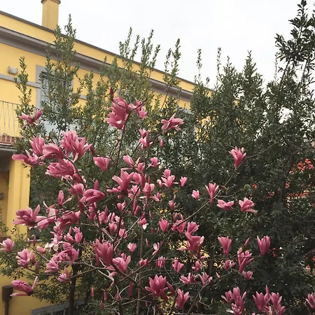 Navigli Downtown Cocco House Апартаменты