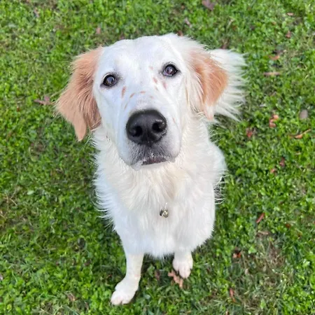 Private Talika - Shared With The Host Mediolan