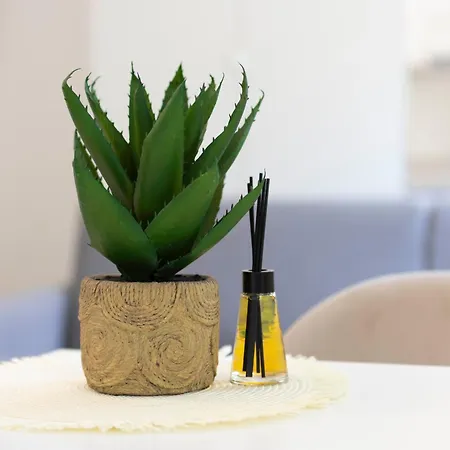 Boutique N9 Apartament *