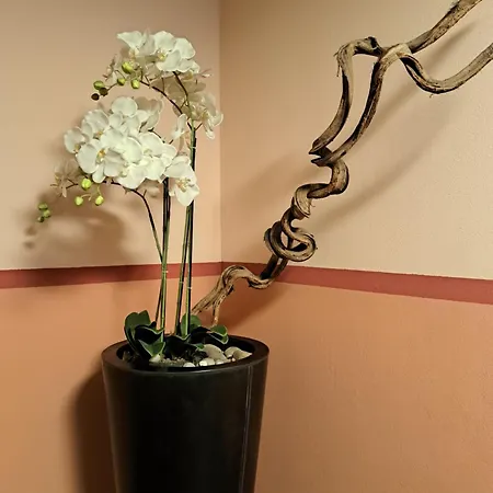 Apartment Navigli Ticinese *