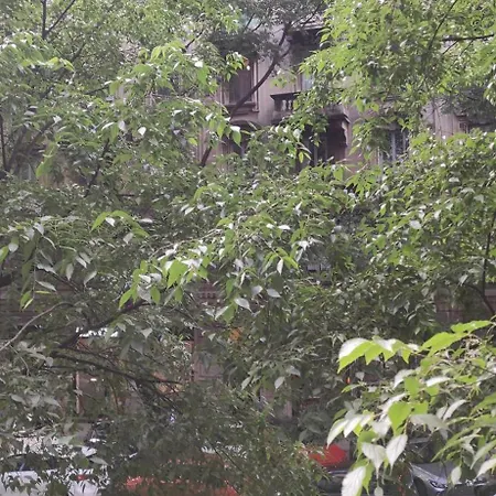 La Casa Di Chira Con Casa Silvestro