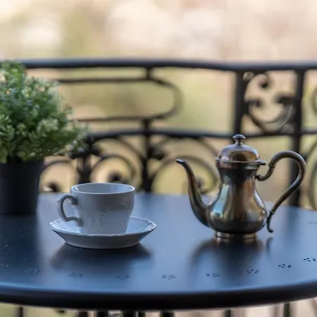 公寓 Duomo-linate Airport - Two Bedrooms & Terrace View 米兰