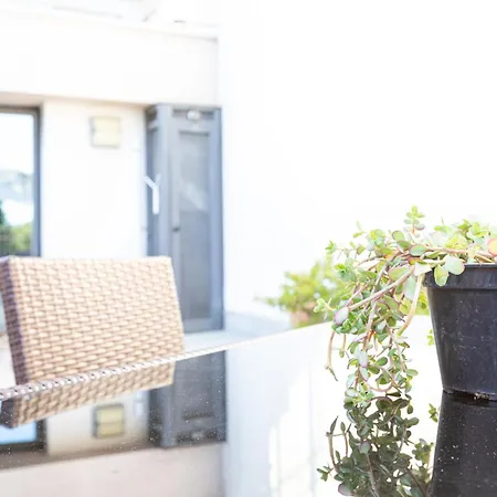 Citta Studi 1 - Collection 4*