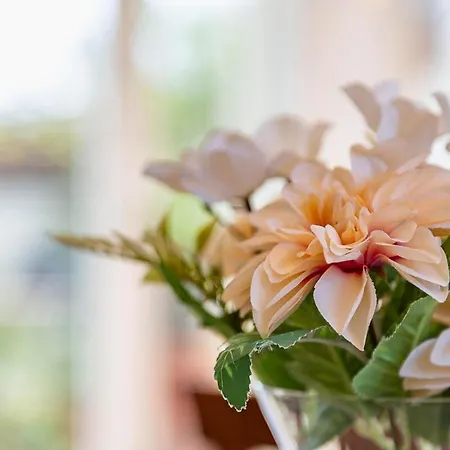 Station 10 Min Private Terrace Skyview 6 Pax *