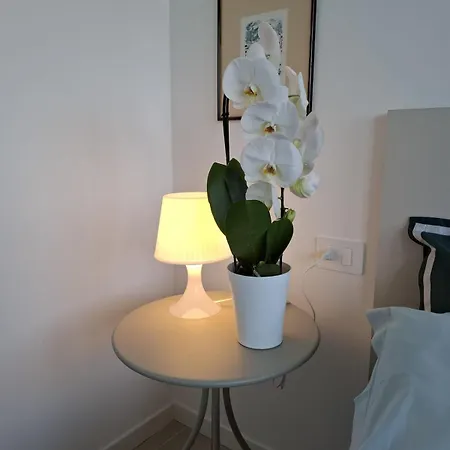 Raffinato Trilocale In Zona Centro * Milano